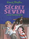 Fun for the Secret Seven (eBook): Secret Seven Series, Book 15